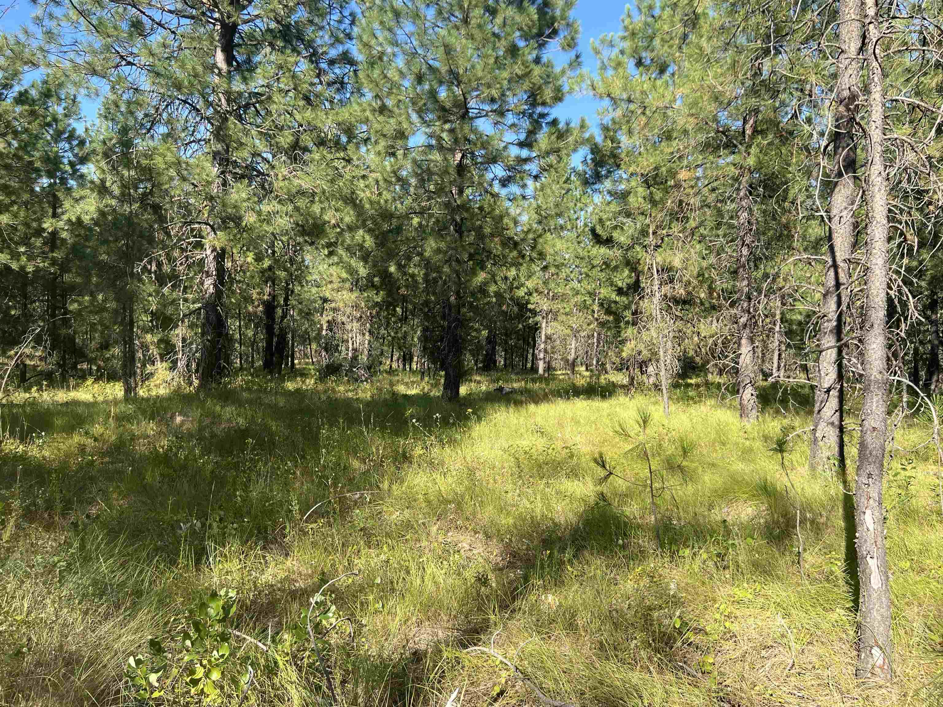 Nka West Findley Road, Unit LOT 5 Deer Park, WA 99006 - Photo 27 of 28