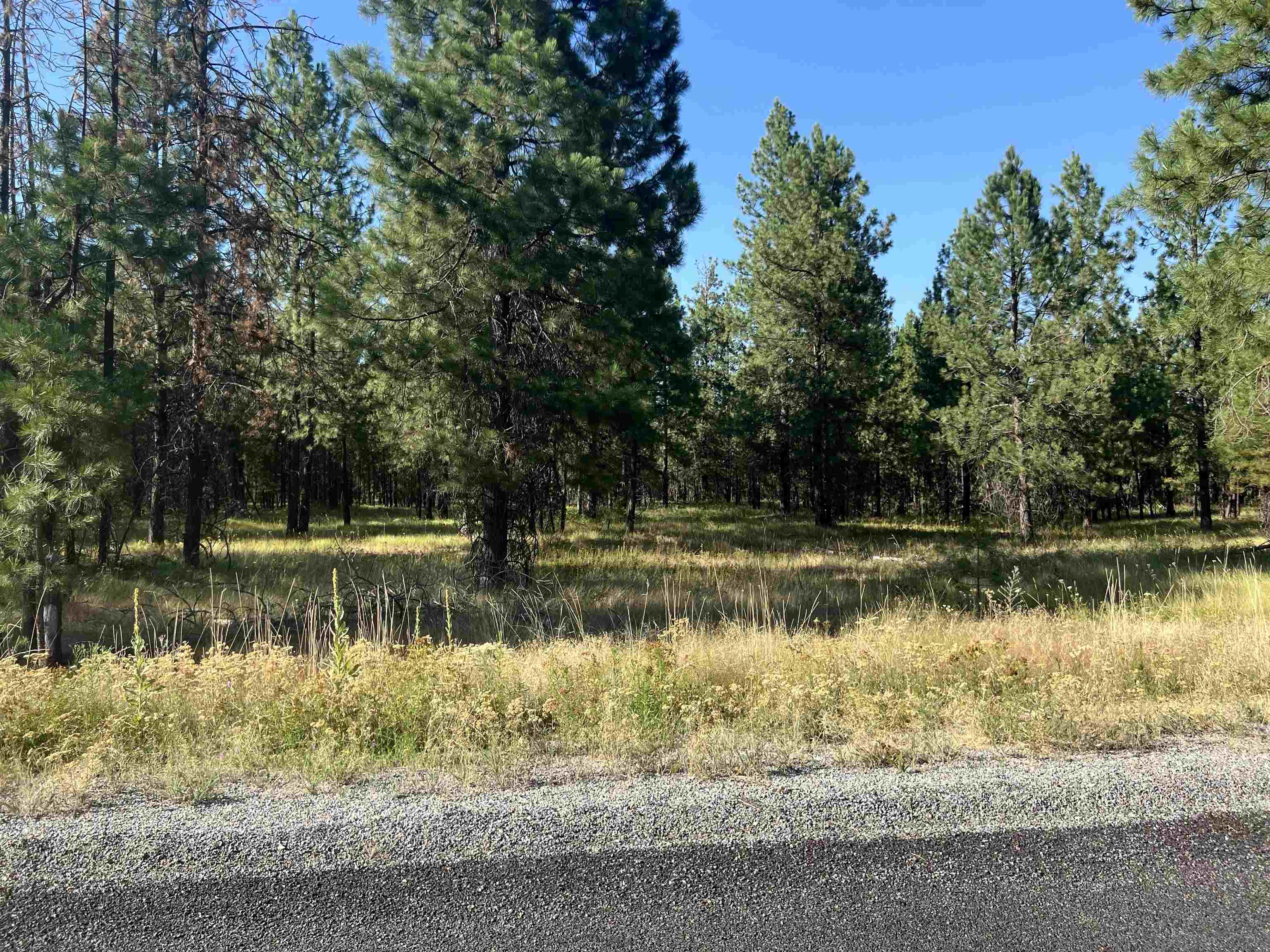 Nka West Findley Road, Unit LOT 5 Deer Park, WA 99006 - Photo 28 of 28