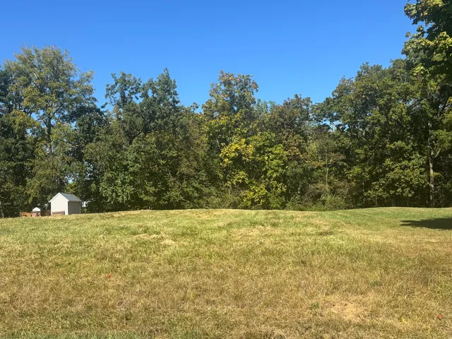 a view of yard with trees