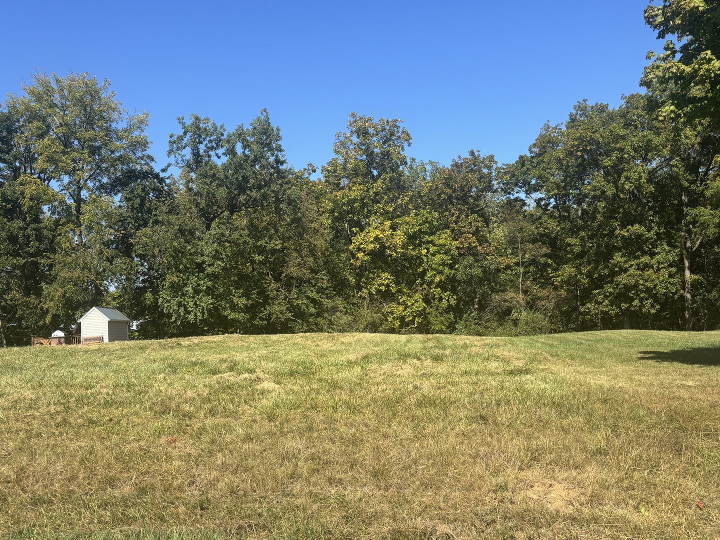 a view of yard with trees