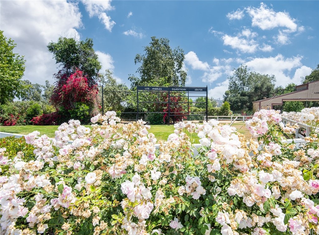 1545 Riverside Drive Glendale, CA 91201 - Photo 15 of 20