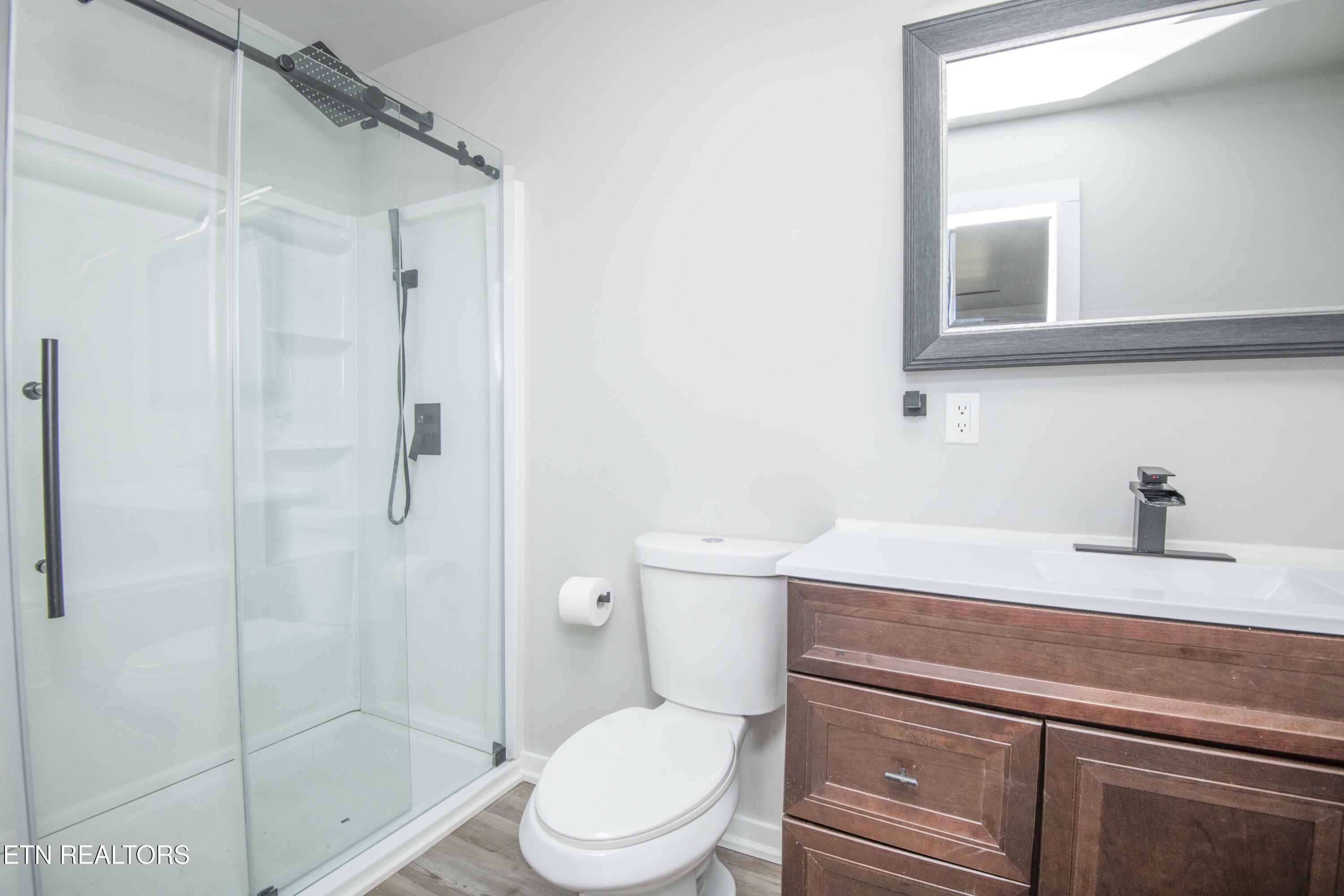 7167 Cedar Hill Road Talbott, TN 37877 - Photo 17 of 45 master bath_1