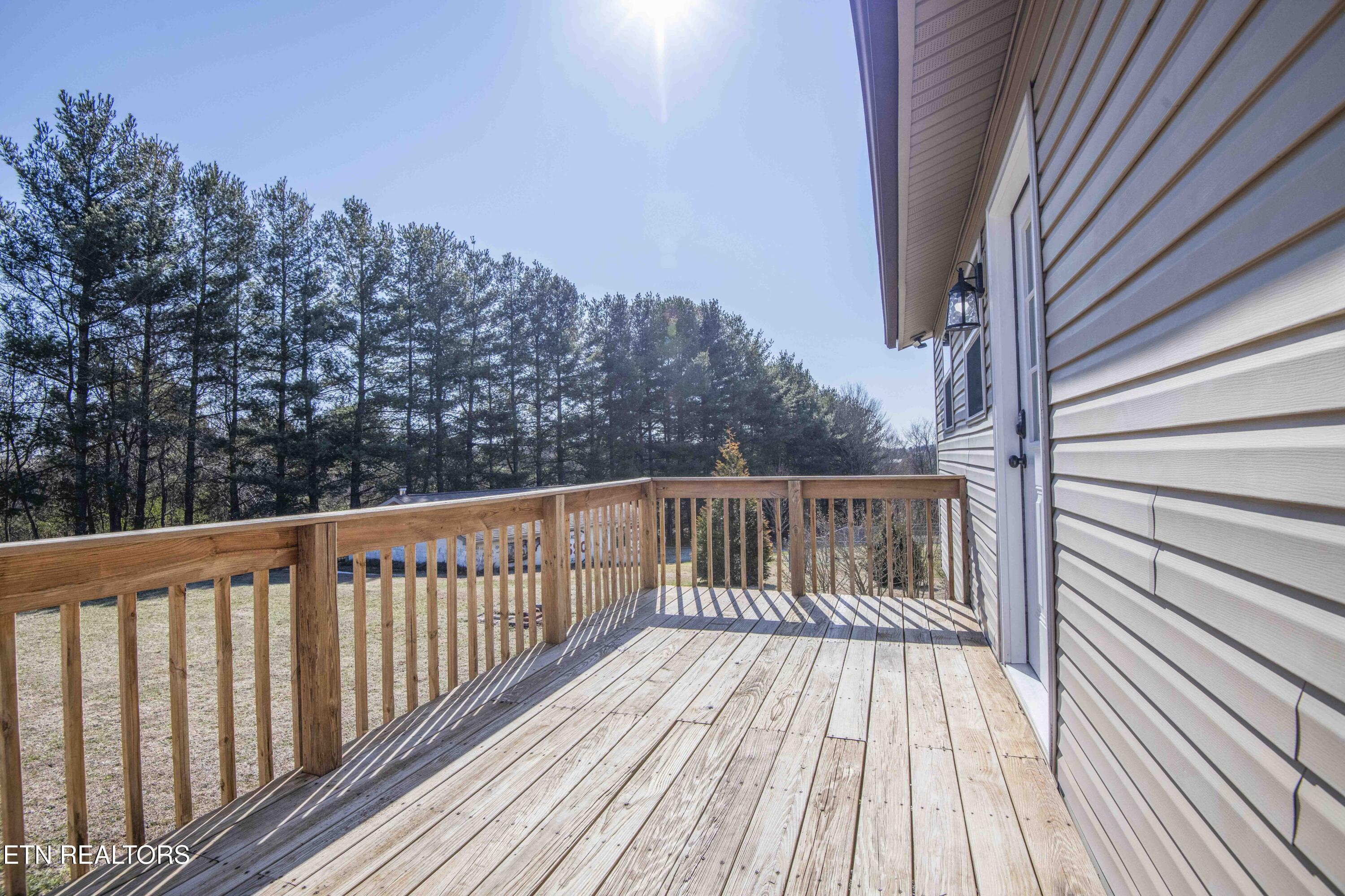 7167 Cedar Hill Road Talbott, TN 37877 - Photo 30 of 45 yard 2_1