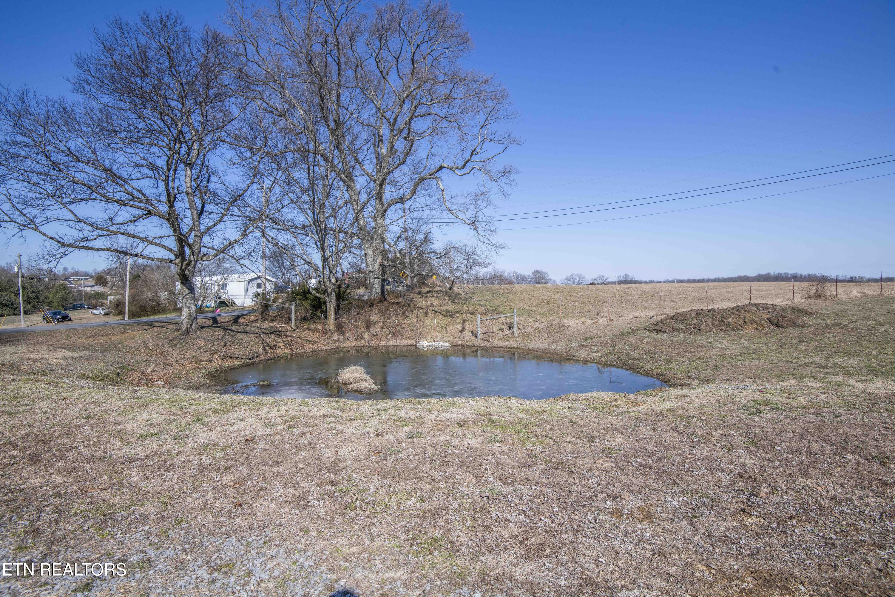 7167 Cedar Hill Road Talbott, TN 37877 - Photo 34 of 45 yard 11_1