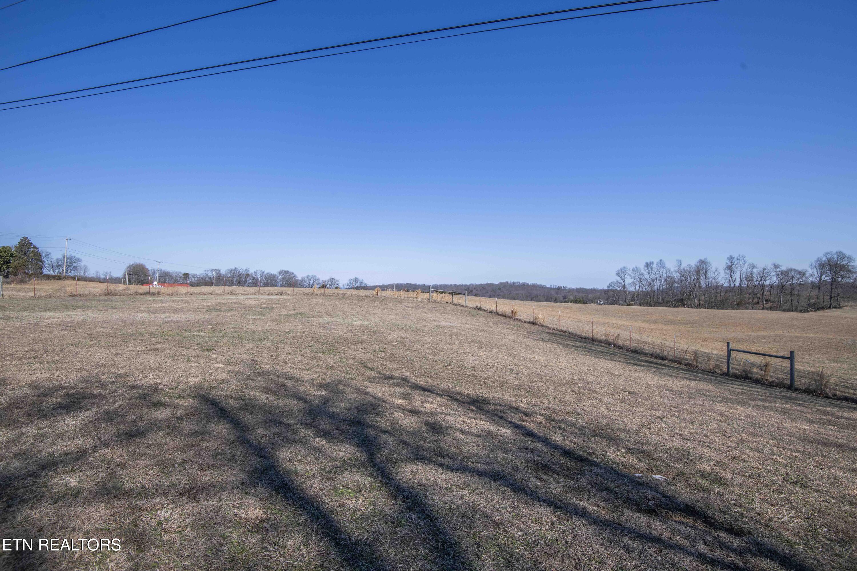 7167 Cedar Hill Road Talbott, TN 37877 - Photo 36 of 45 yard 6_1