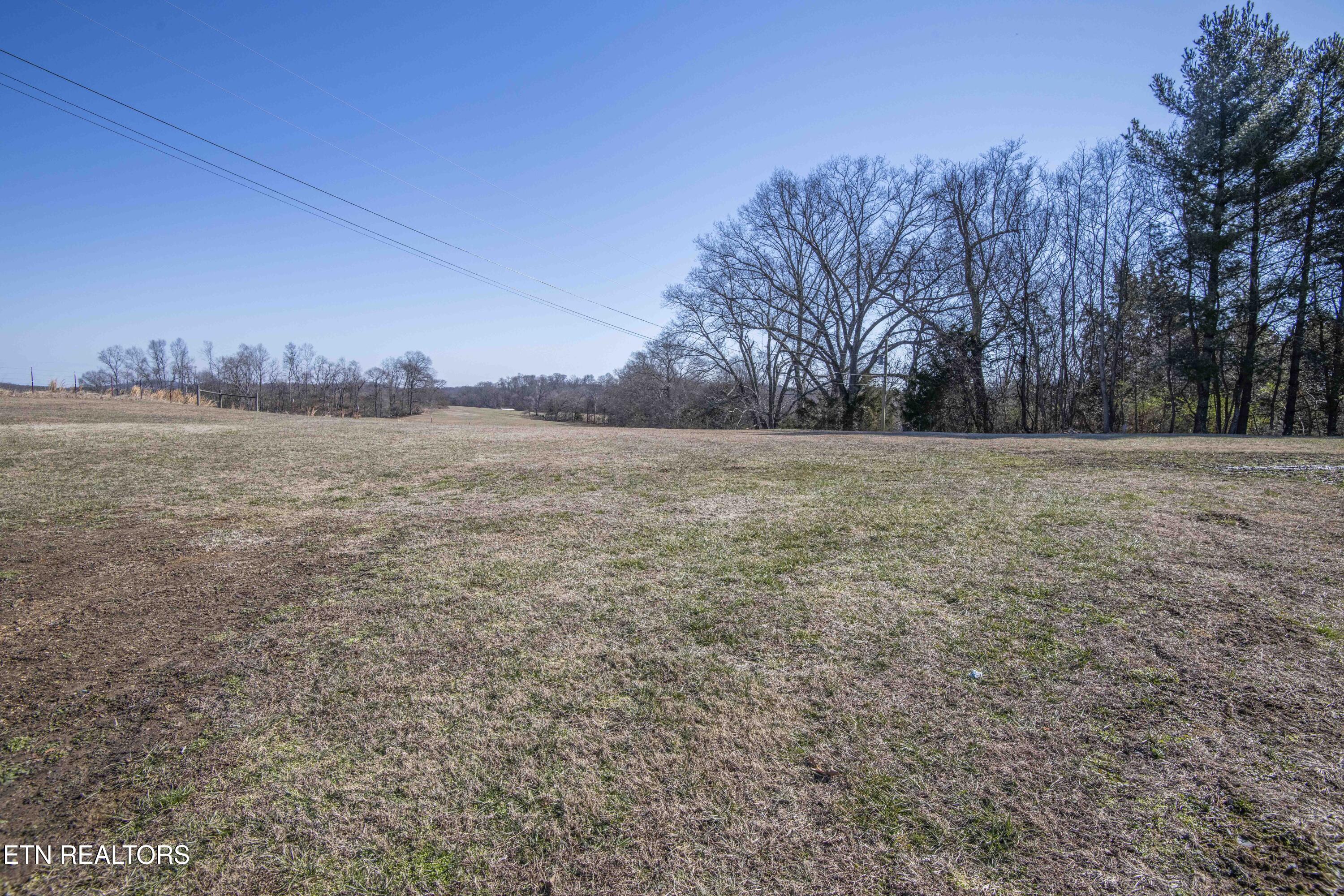 7167 Cedar Hill Road Talbott, TN 37877 - Photo 38 of 45 yard 10_1