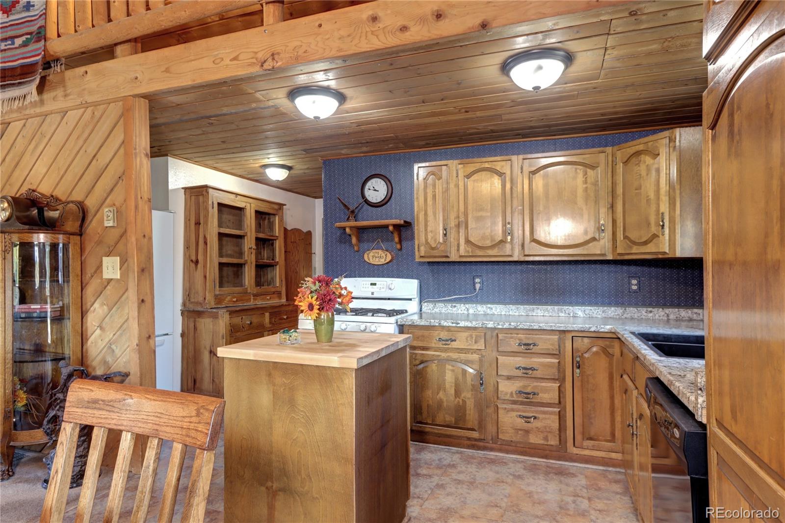 9340 South Warhawk Road Conifer, CO 80433 - Photo 14 of 45 Gallery Image 14