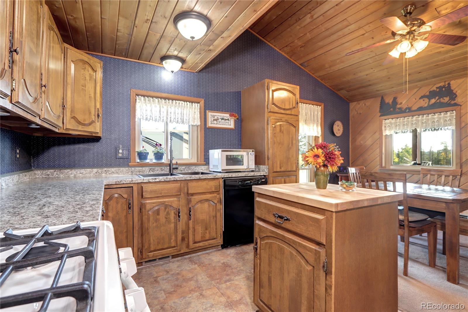 9340 South Warhawk Road Conifer, CO 80433 - Photo 15 of 45 Gallery Image 15