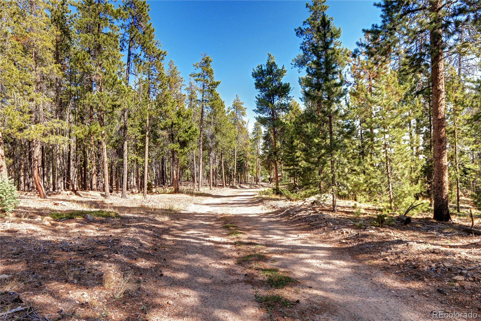 9340 South Warhawk Road Conifer, CO 80433 - Photo 2 of 45 Gallery Image 2