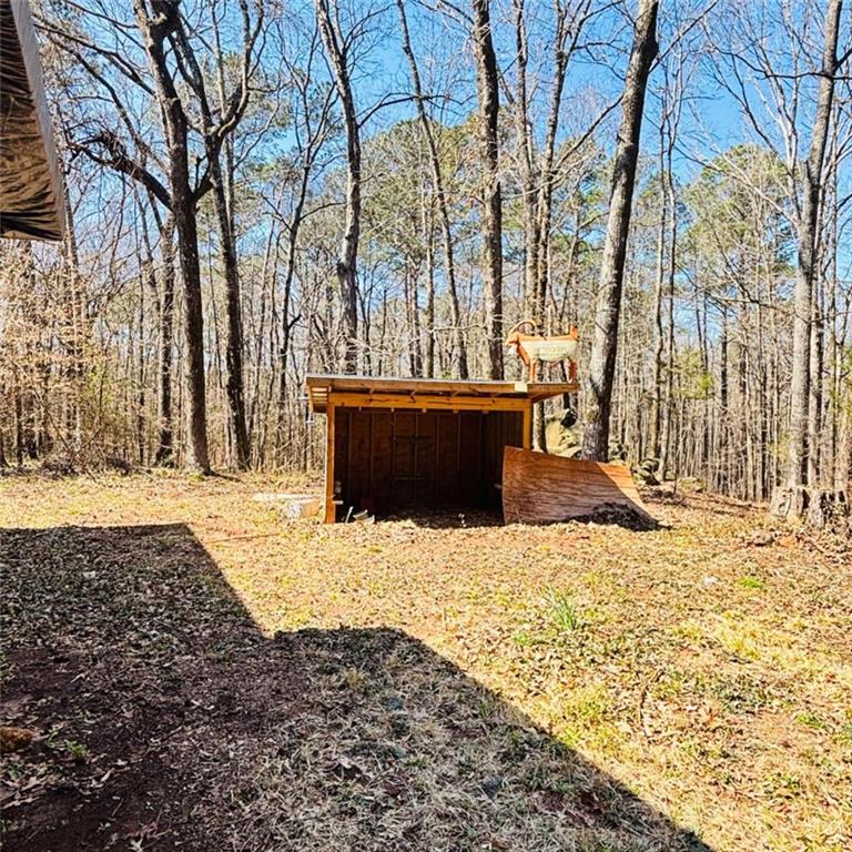 307 Floyd Road Forsyth, GA 31029 - Photo 10 of 12 a view of outdoor space with trees