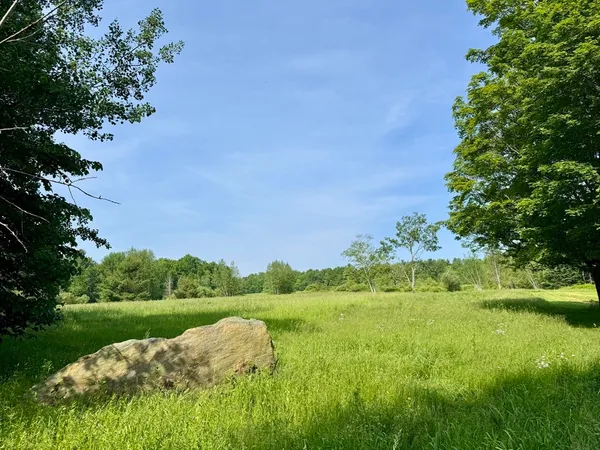 a view of a lake with a yard and large trees