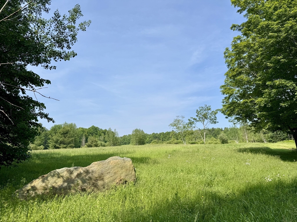 292 East Hawley Road Hawley, MA 01339 - Photo 5 of 7 a view of a lake with a yard and large trees