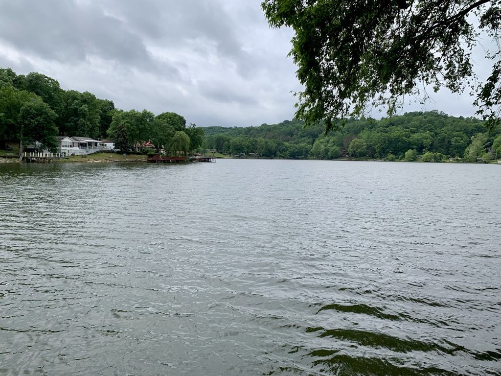 1799 Lake Logan Road Ardmore, TN 38449 - Photo 35 of 39
