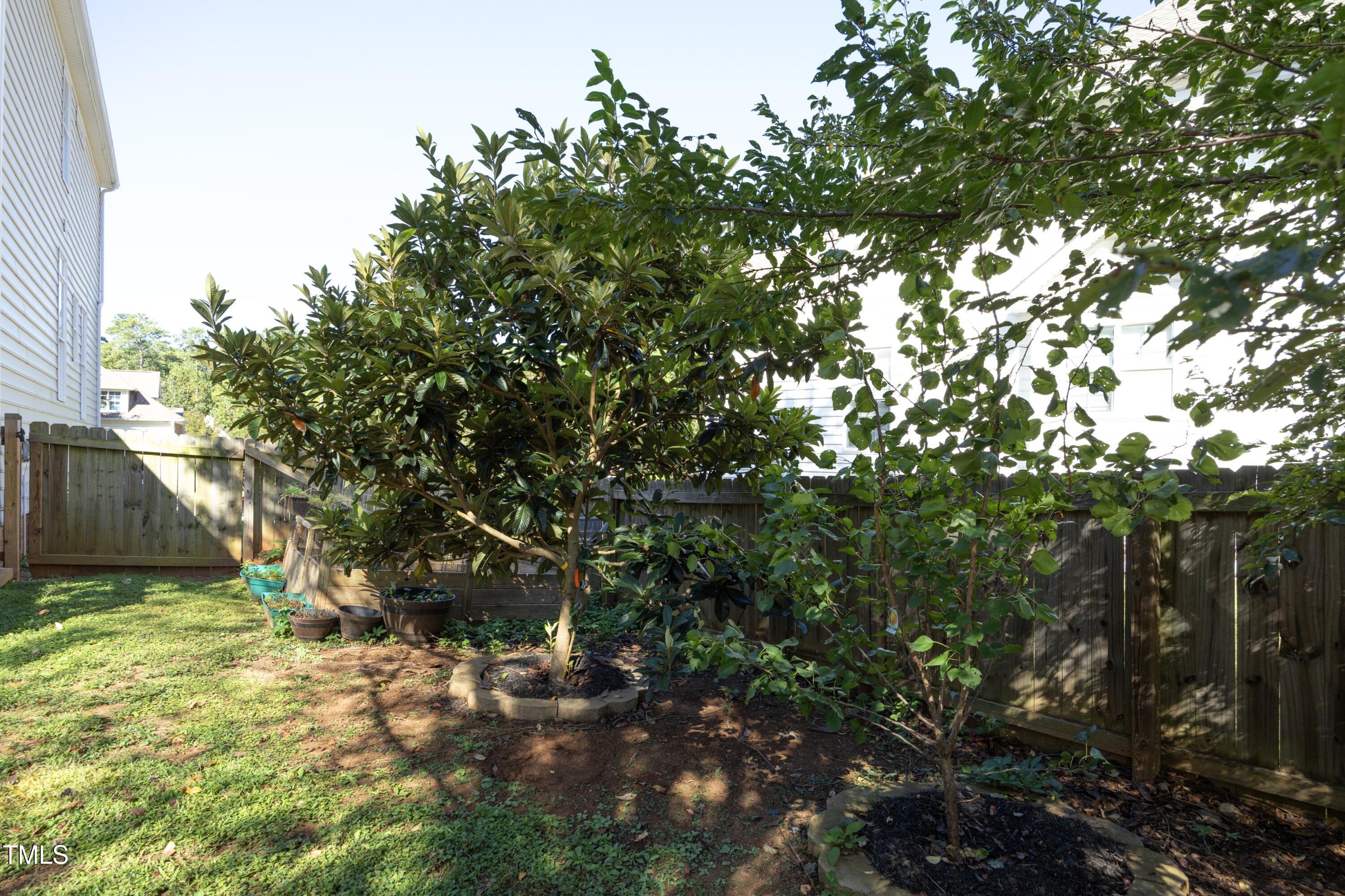104 Jersey Ridge Road Cary, NC 27518 - Photo 46 of 49 45FruitTreees