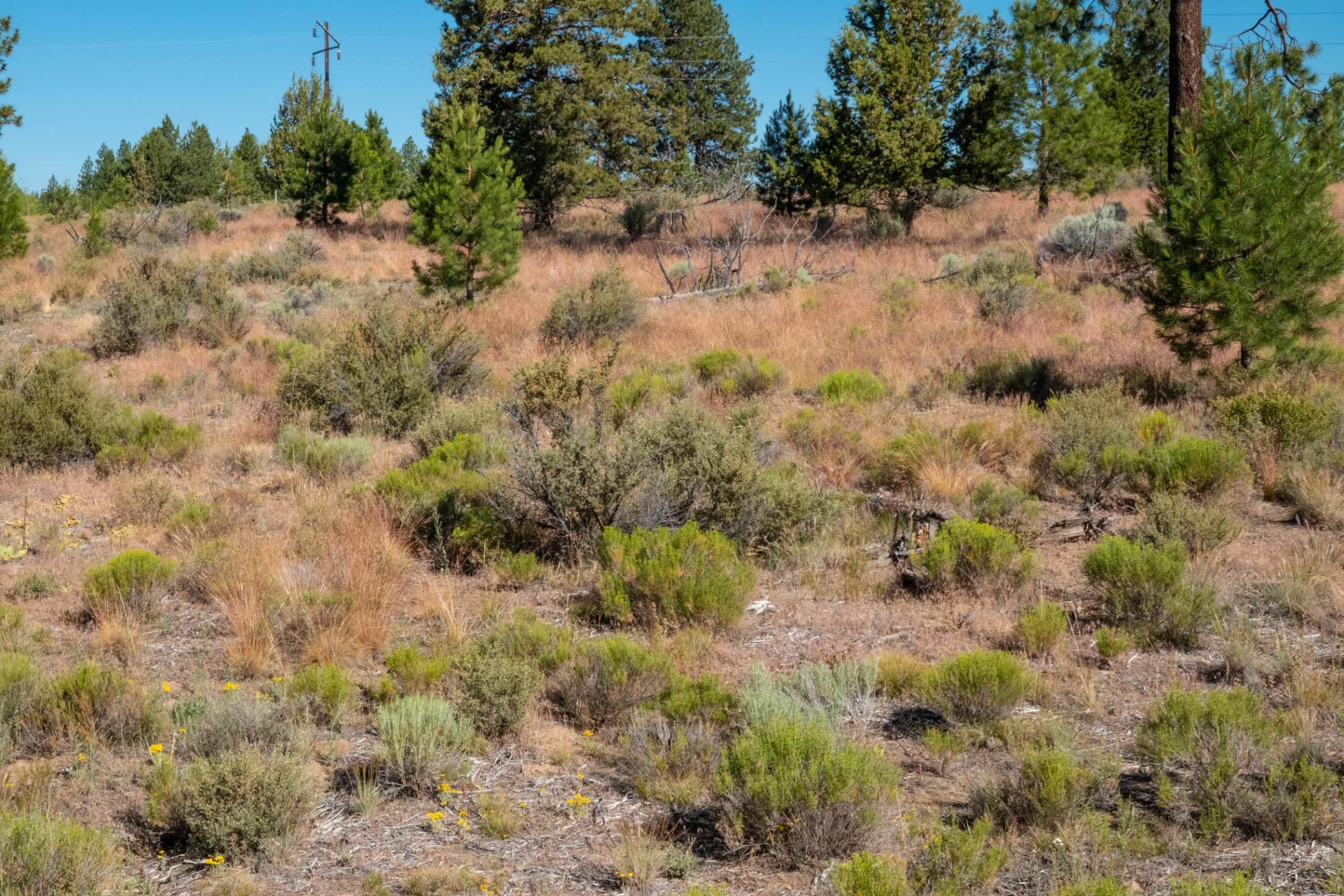 19190 Macalpine Loop Bend, OR 97702 - Photo 29 of 35 batch_19190 Macalpine lp_0025 copy