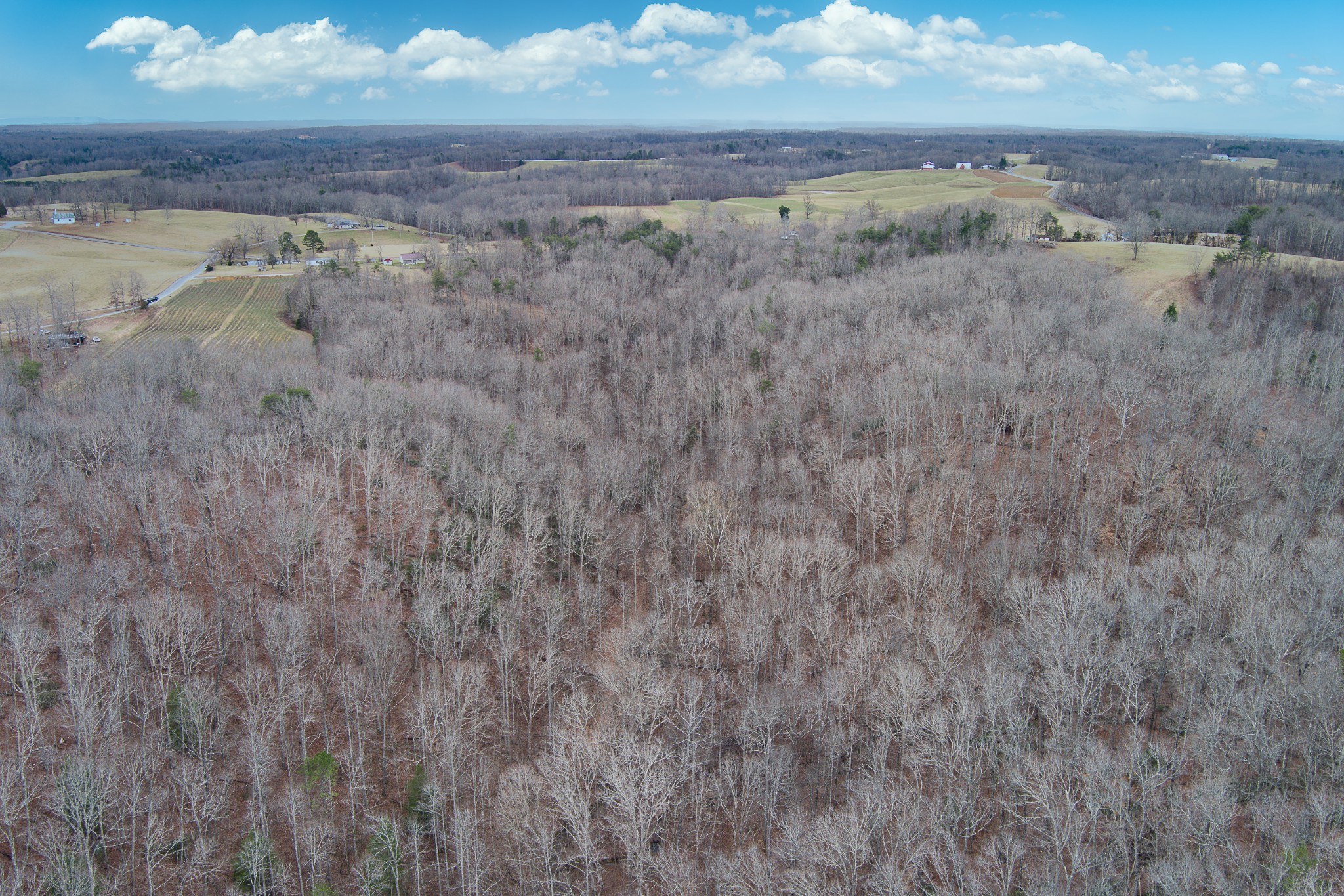 0 68 Acres Muddy Pond Road Monterey, TN 38574 - Photo 5 of 16 Gallery Image 5