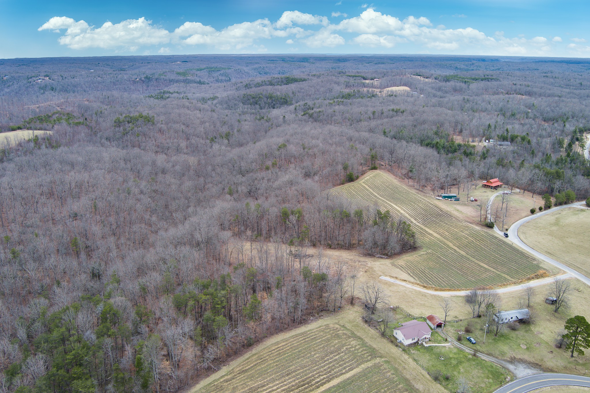 0 68 Acres Muddy Pond Road Monterey, TN 38574 - Photo 6 of 16 Gallery Image 6