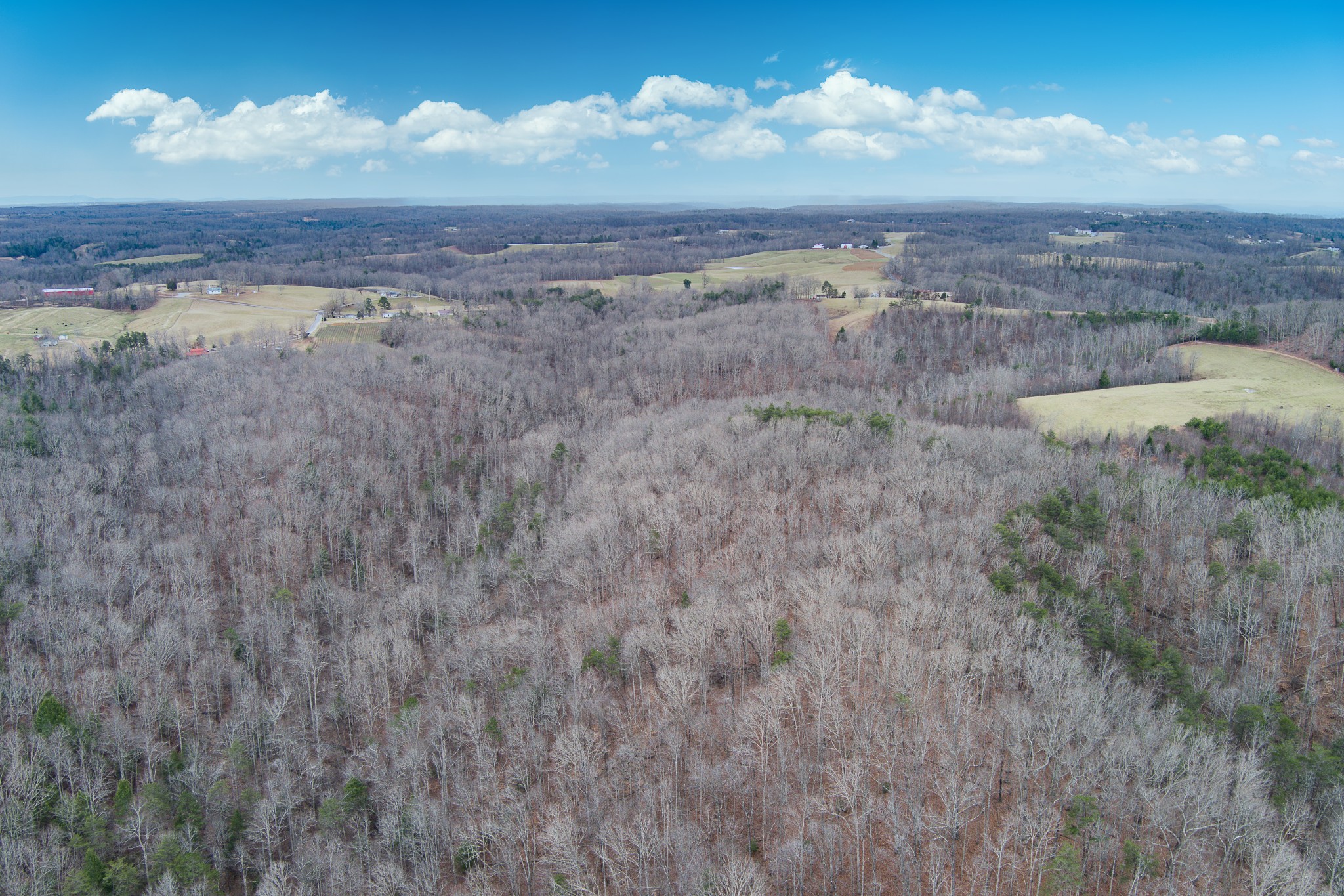 0 68 Acres Muddy Pond Road Monterey, TN 38574 - Photo 7 of 16 Gallery Image 7