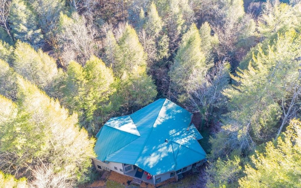 10323 Grassy Mountain Road Ellijay, GA 30536 - Photo 55 of 71 Additional View