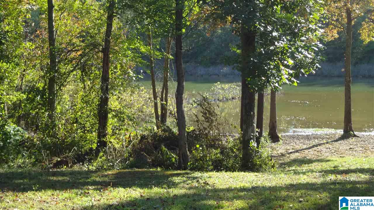Lot #7 Lost Creek Cove Road, Unit 7 Delta, AL 36258 - Photo 3 of 14
