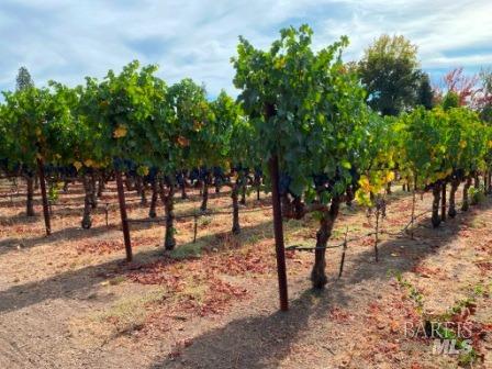 1180 Monticello Road Napa, CA 94558 - Photo 68 of 68