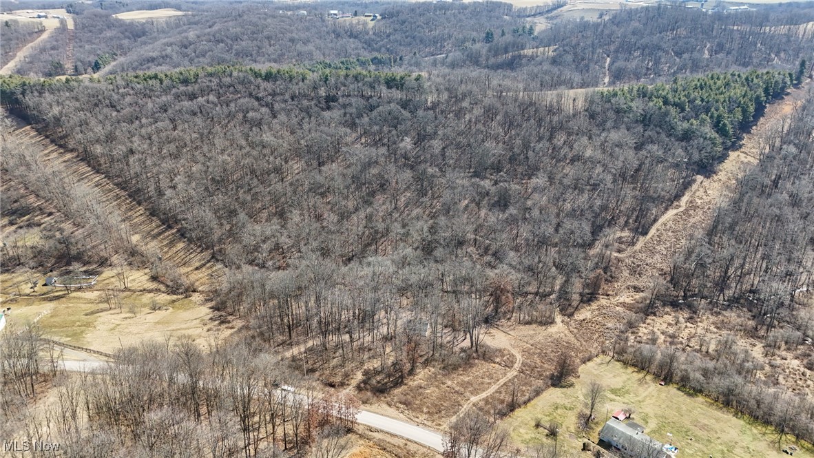 0 Bower Road Scio, OH 43988 - Photo 10 of 42 Birds eye view of property with a view of trees