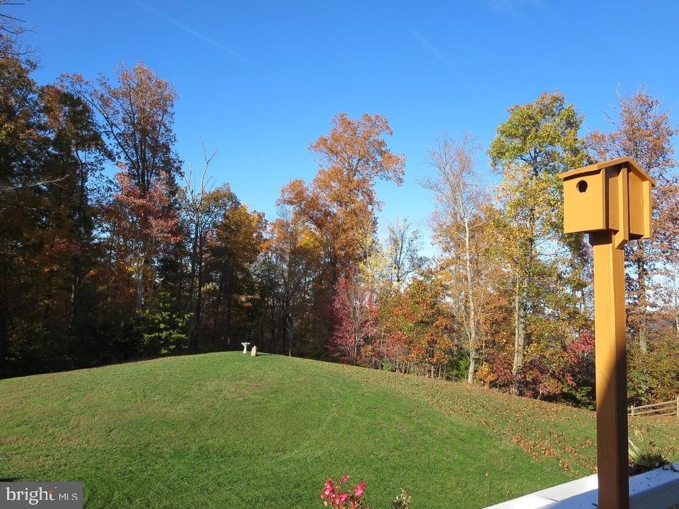 18776 Pier Trail Drive Triangle, VA 22172 - Photo 31 of 32 a view of a big yard with potted plants and large trees