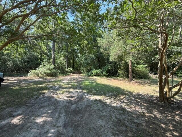 1314 Gardensgate Road Eutawville, SC 29048 - Photo 9 of 31 2