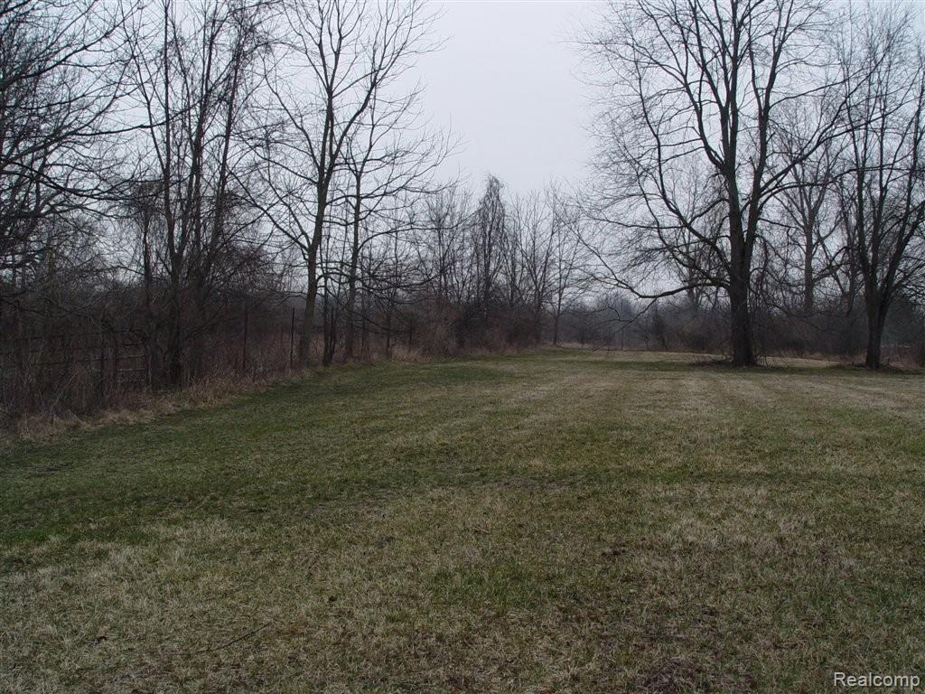 9250 Napier Road Northville, MI 48167 - Photo 5 of 8 Northville Wow 14 acres (13).JPG