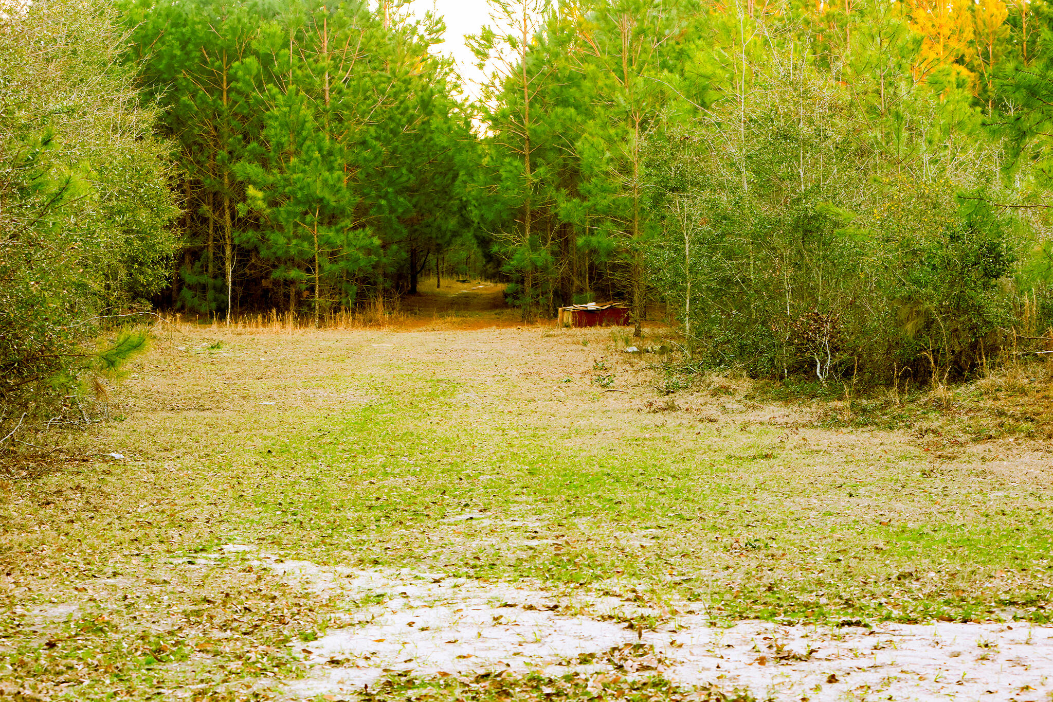 5 Festival Trail Road Salley, SC 29137 - Photo 4 of 12