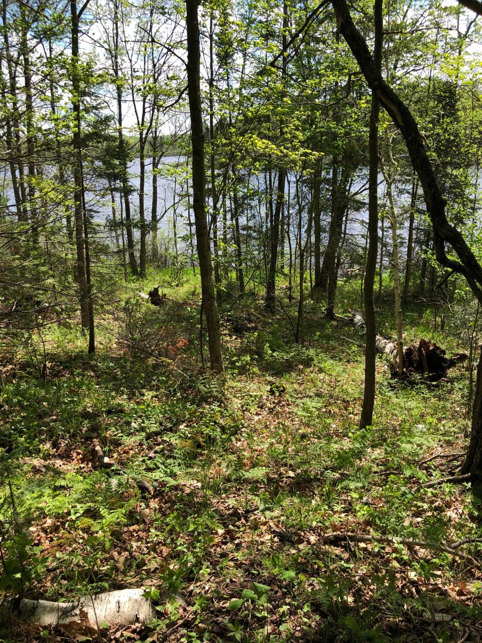 Lot 2 Kling Road Presque Isle, WI 54557 - Photo 14 of 18 Gallery Image 14