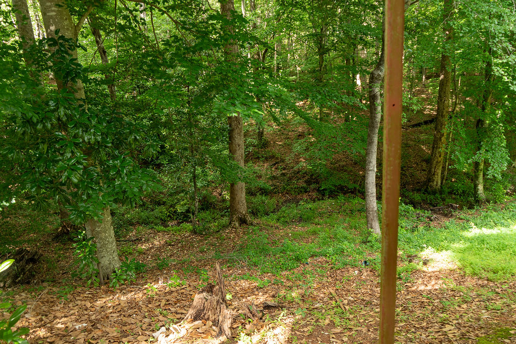 300 Playground Road Walhalla, SC 29691 - Photo 33 of 36