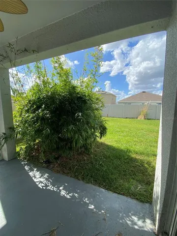 a view of a backyard with a large tree