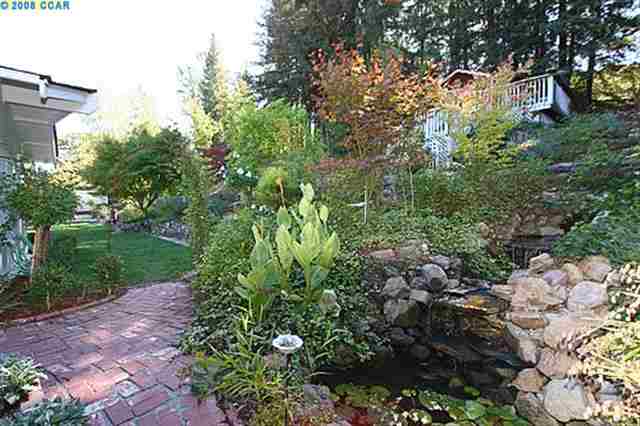 3527 Silver Springs Road Lafayette, CA 94549 - Photo 8 of 8 a view of a garden with plants
