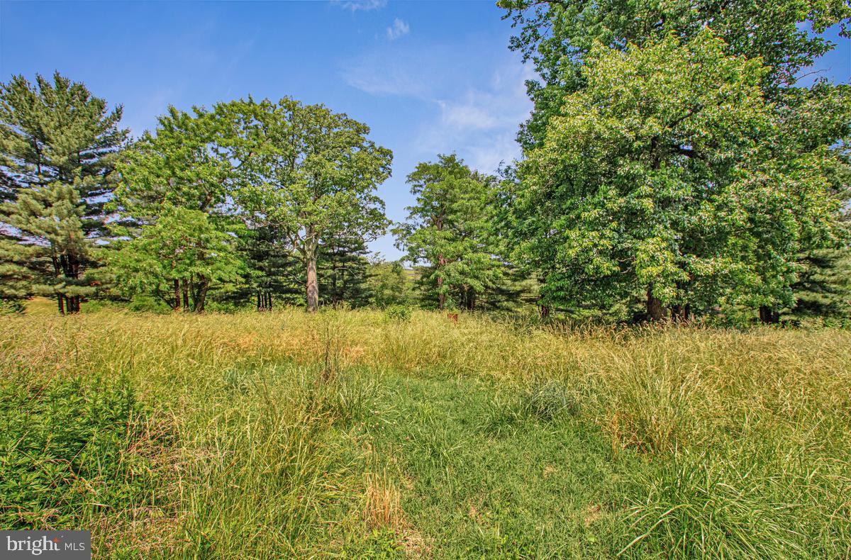 26220 Mullinix Mill Road Damascus, MD 20872 - Photo 19 of 69 Gallery Image 19