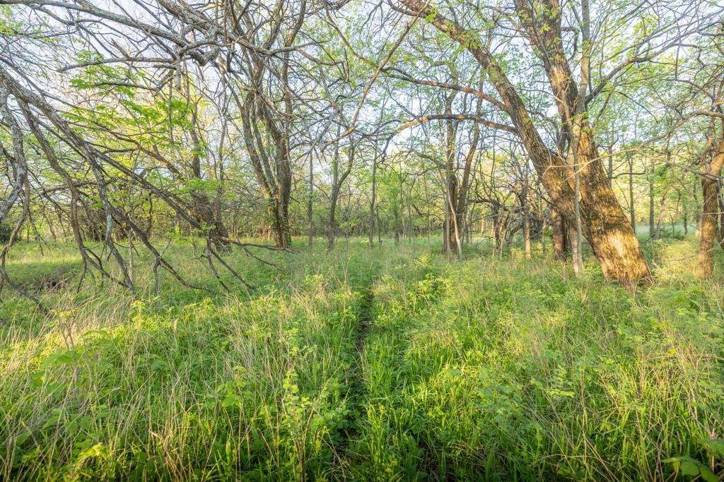 0 North 600th Road Overbrook, KS 66524 - Photo 21 of 39