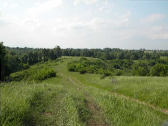 818 Martin Nethery Road, Unit 1B Waddy, KY 40076 - Photo 9 of 22 Additional Photo