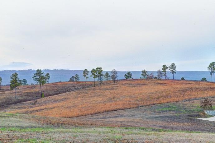 Lot 14 Sneed Road Dayton, TN 37321 - Photo 8 of 12 sneed 9