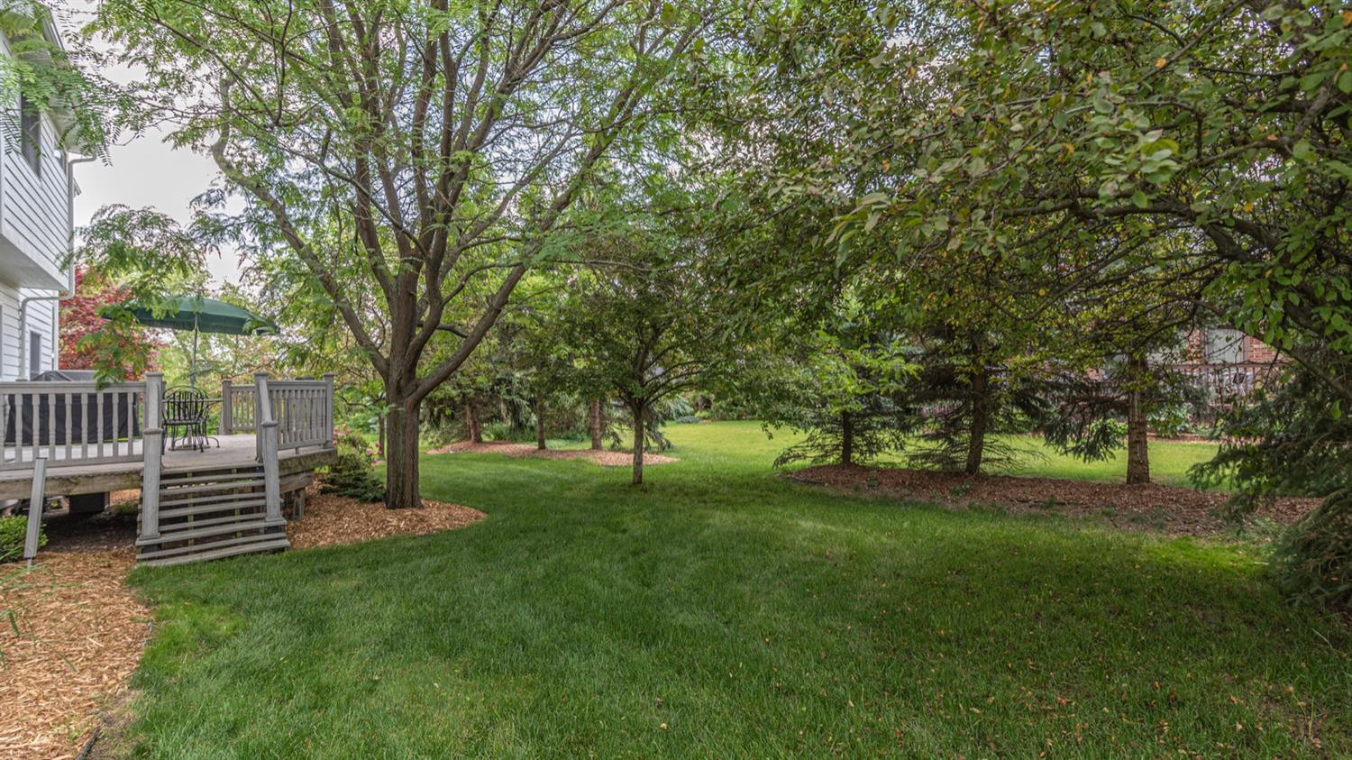 1872 Chicory Ridge Ann Arbor, MI 48103 - Photo 8 of 66 Photo 8