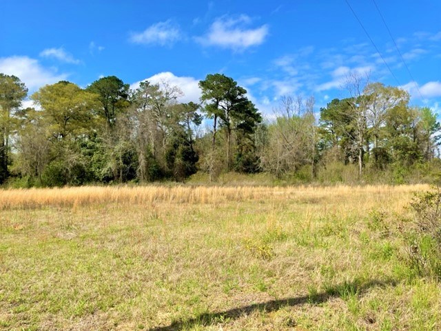 0 Knowles Road Headland, AL 36345 - Photo 3 of 10