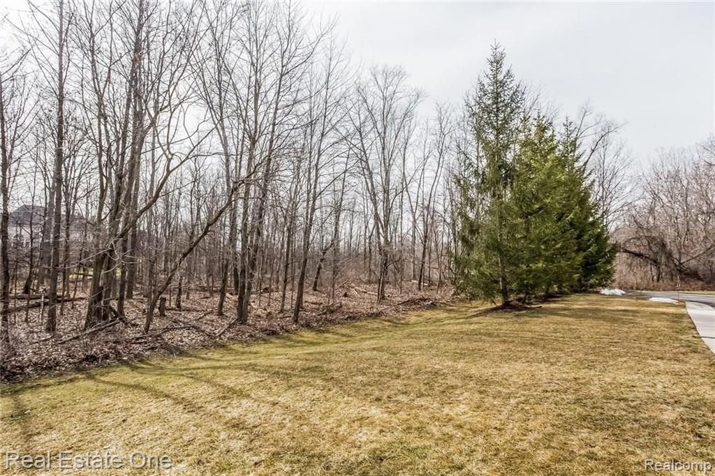 3635 Tremonte Circle, Unit 251 Rochester, MI 48306 - Photo 36 of 38