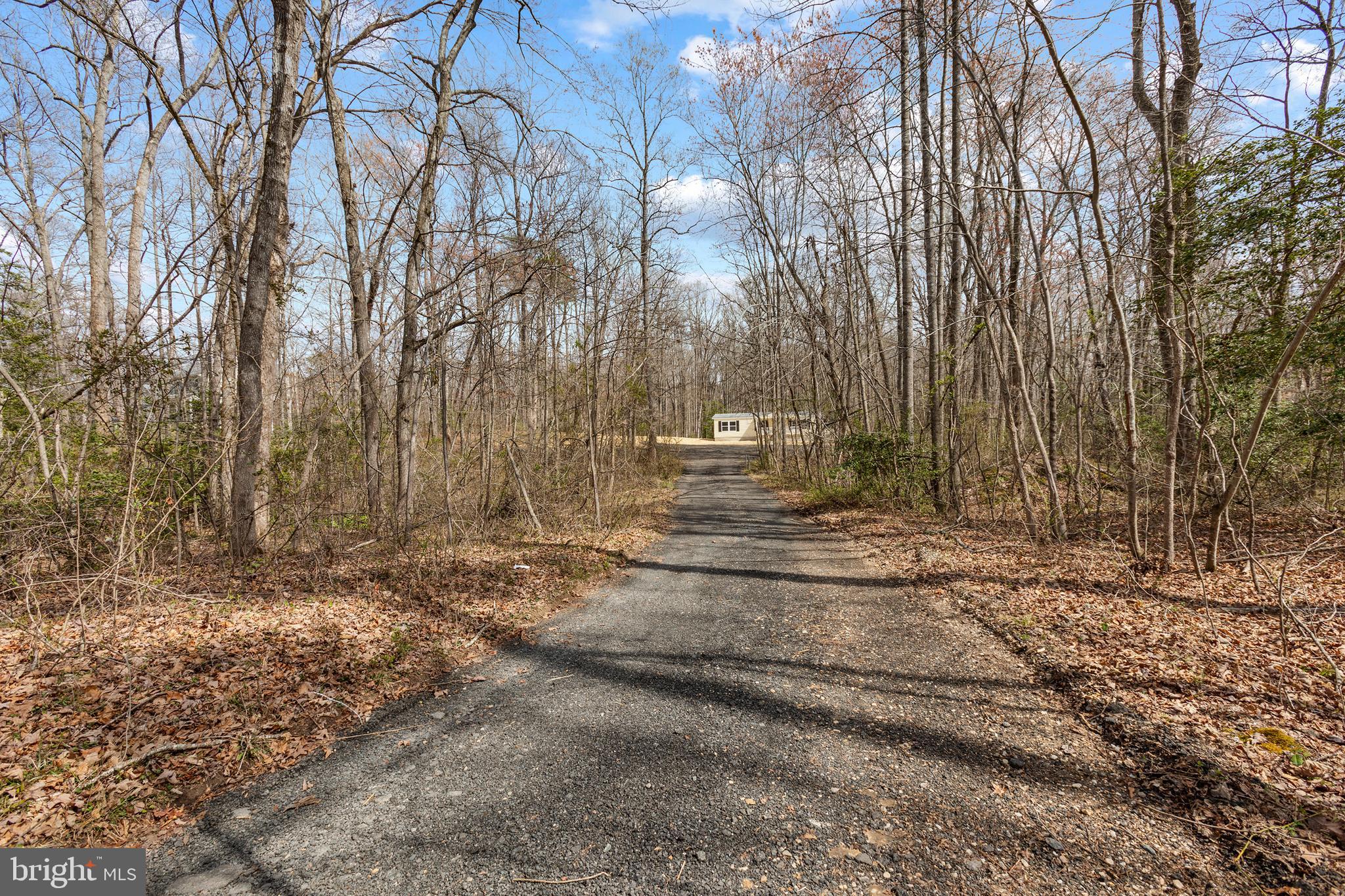 5319 Partlow Road Partlow, VA 22534 - Photo 31 of 36