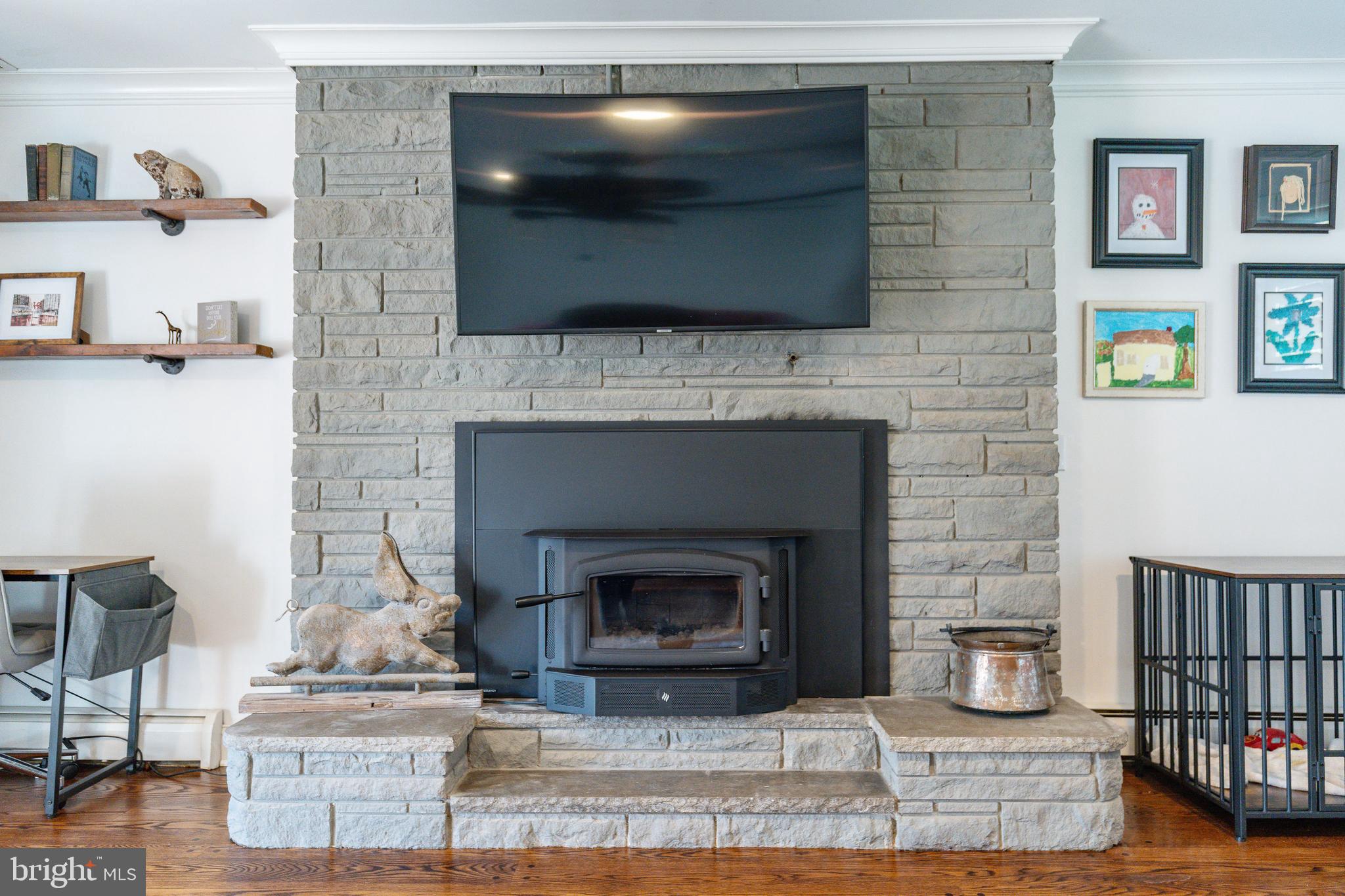 709 Alene Road Ambler, PA 19002 - Photo 19 of 42 Wood Burning Stove