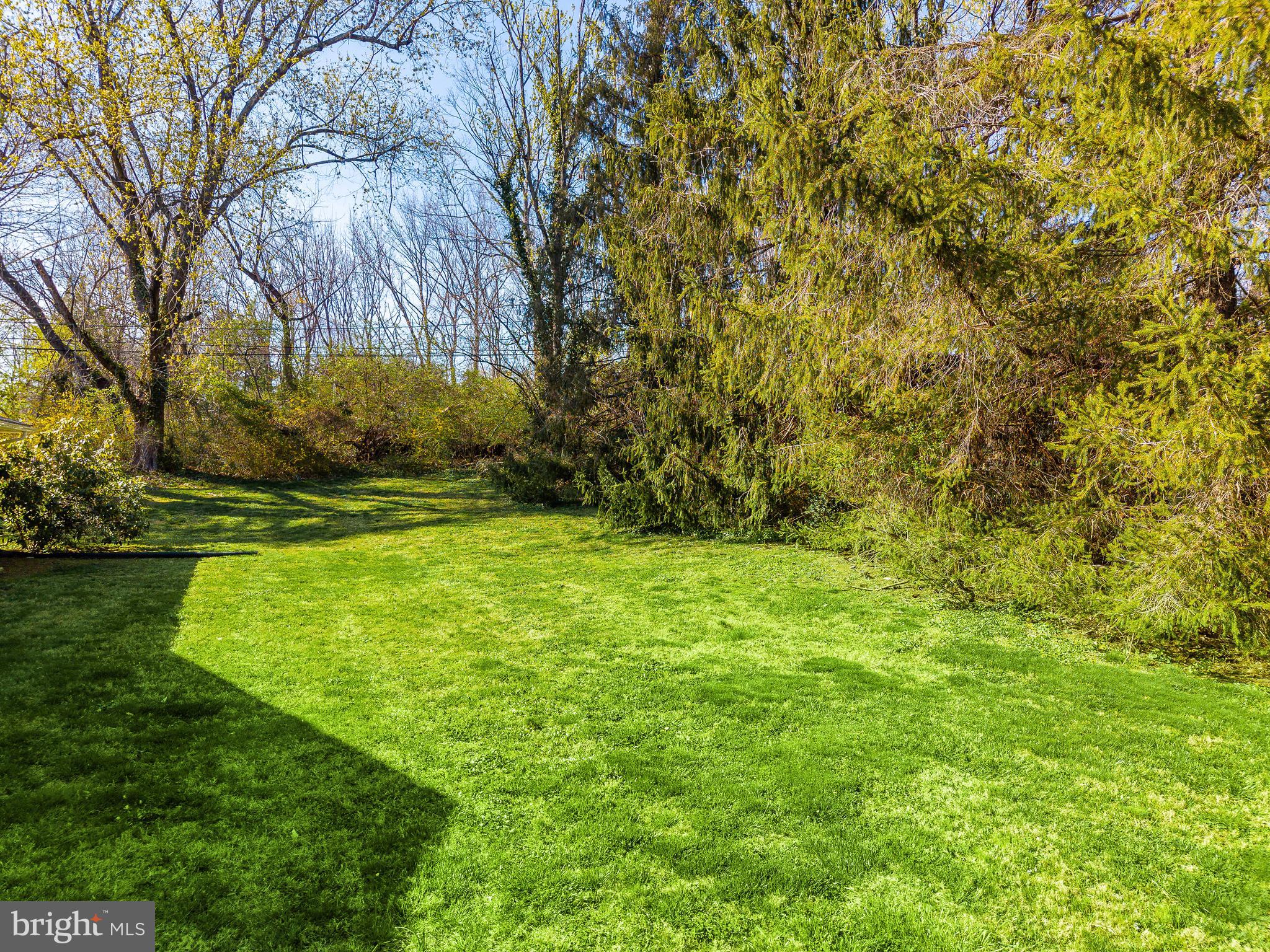 709 Alene Road Ambler, PA 19002 - Photo 40 of 42 a view of yard with green space