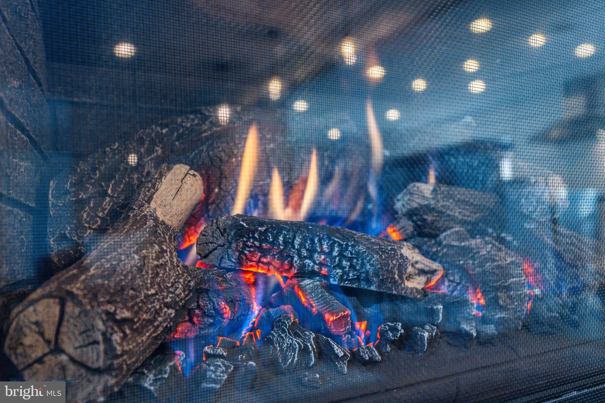 709 Alene Road Ambler, PA 19002 - Photo 5 of 42 Temperature Controlled Gas Fireplace