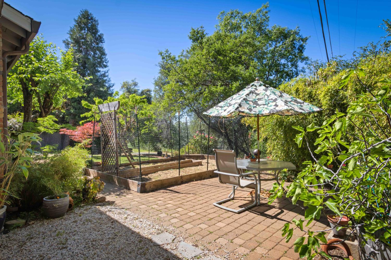 2573 Bryan Way Placerville, CA 95667 - Photo 24 of 26