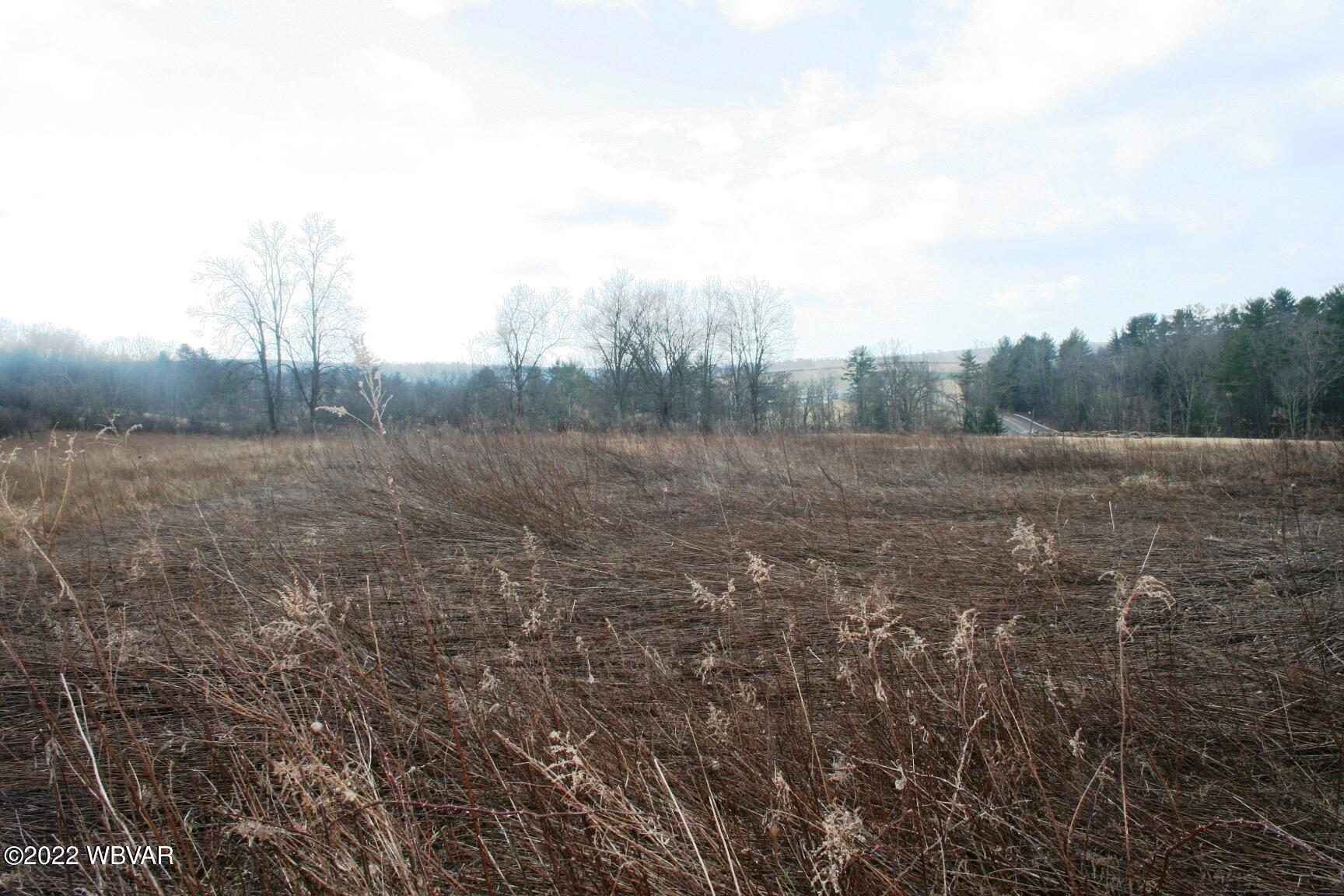 Thunderbird Road, Unit 2 Stillwater, PA 17878 - Photo 7 of 8 Gallery Image 7
