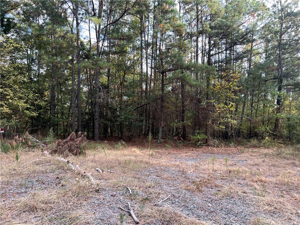 100 Valley View Drive Northwest Cartersville, GA 30121 - Photo 11 of 12 a view of outdoor space and trees