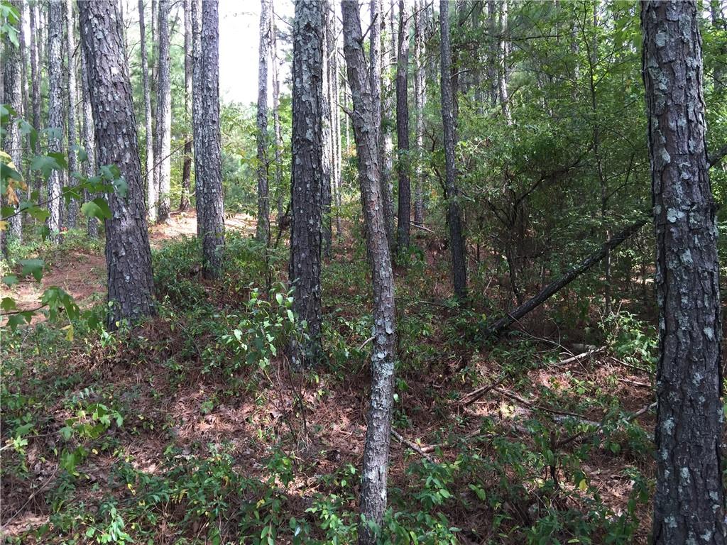 100 Valley View Drive Northwest Cartersville, GA 30121 - Photo 12 of 12 a view of a forest with lots of trees