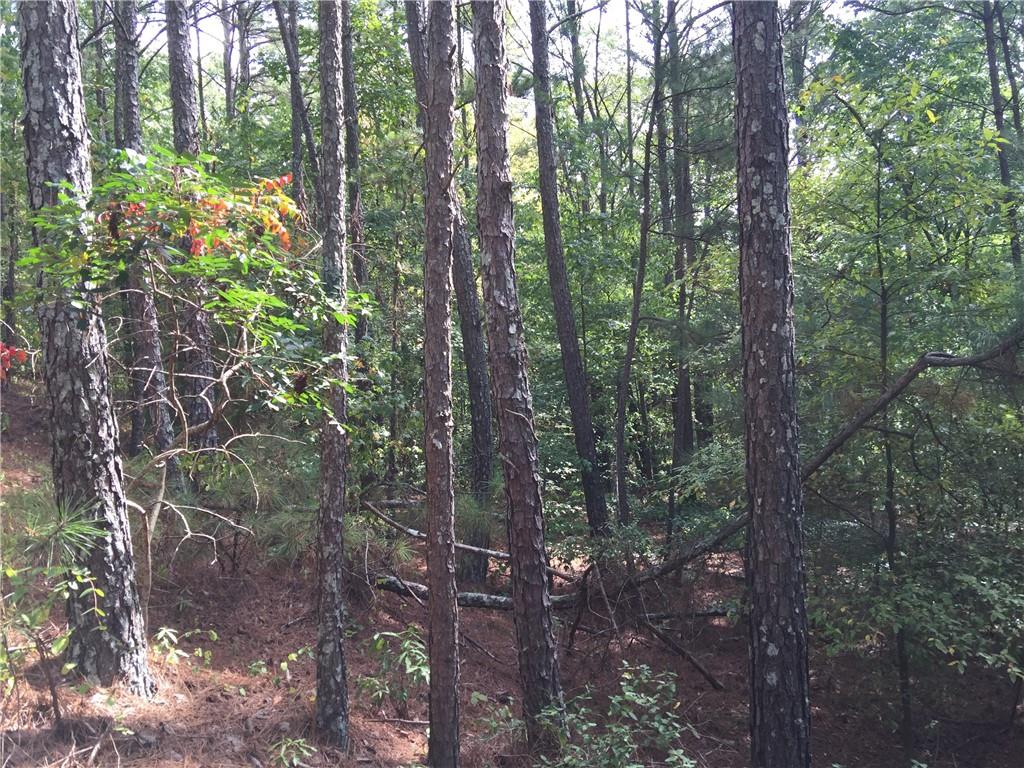 100 Valley View Drive Northwest Cartersville, GA 30121 - Photo 2 of 12 a view of forest